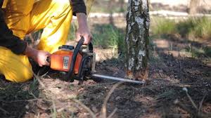 Best Lawn Mowing  in Mountain Brook, AL