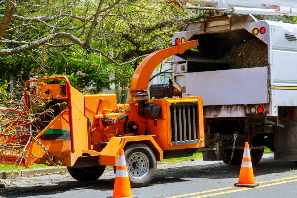 Best Hazardous Tree Removal  in Mountain Brook, AL